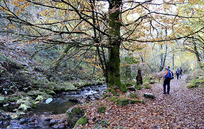 Ir para Imagem Senderismo por Asturias