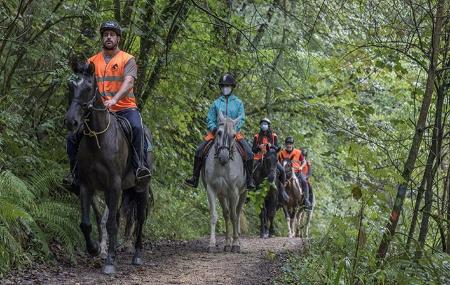 Asturien zu Pferd