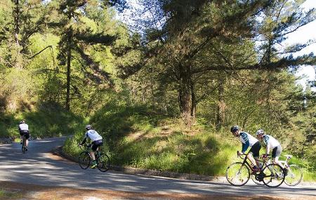 Bike Paradise