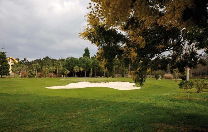 Ir para Imagem Clube de Golfe Cierro Grande