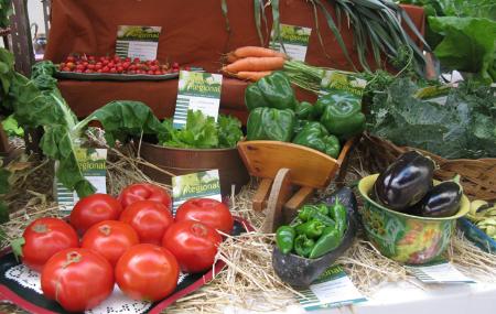 Mercapravia y Exposición de la Huerta en Pravia