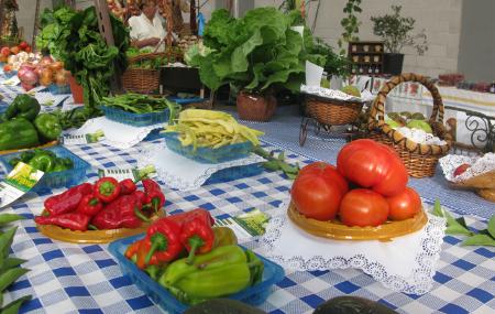 Mercapravia y Exposición de la Huerta en Pravia