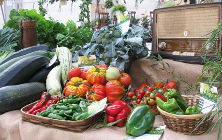 Mercapravia y Exposición de la Huerta en Pravia