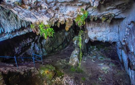 Entrada da gruta de El Pindal