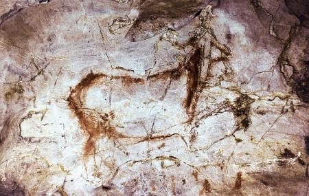 Grabados en la Cueva de El Pindal