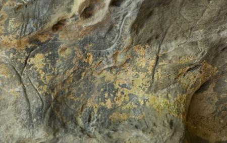 Caballo en la Cueva La Lluera