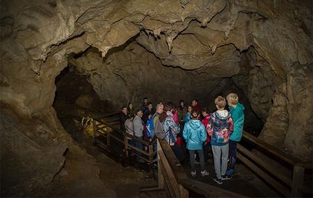 La grotte des Ardines