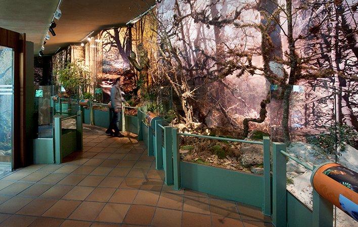 Centro de Interpretación de Muniellos
