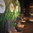 Imagen Actividades de noviembre en el Museo del Jurásico de Asturias en Colunga