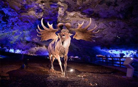 Glacial Fauna Interpretation Centre