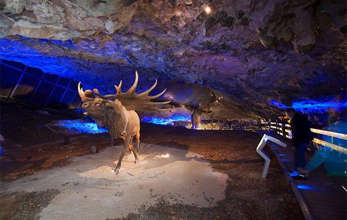 Go to Image Glacial Fauna Interpretation Centre