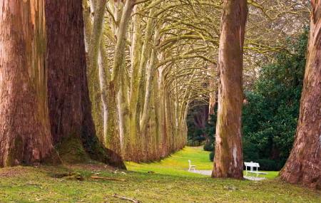 Promenade dans le jardin botanique de l'Atlantique